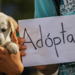 PRI Nuevo León destaca jornada de adopción “Chihuatón Regio” en Monterrey